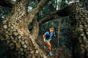 BIB: 
                            <button type="button" onclick="openModal(25393291)" class="btn btn-primary btn-sm float-right btn-popup" data-toggle="modal" data-target=".modal-high-quality">
                        <i class="fas fa-shopping-cart"></i> Add to Cart
                    </button>
                                            <button type="button" onclick="isThisMe(25393291, true)" class="btn btn-success btn-sm float-right btn-popup btn-isme hidden" data-toggle="tooltip" data-placement="bottom" title="นี่คือรูปของคุณใช่ไหม คลิกที่นี่เพื่อเอาเข้าอัลบั้ม">
                        <i class="fas fa-plus"></i> Add to album
                    </button>
                    <button type="button" onclick="isThisMe(25393291, false)" class="btn btn-warning btn-sm float-right btn-popup btn-isnotme hidden">
                        <i class="fas fa-ban"></i> Remove from album
                    </button>